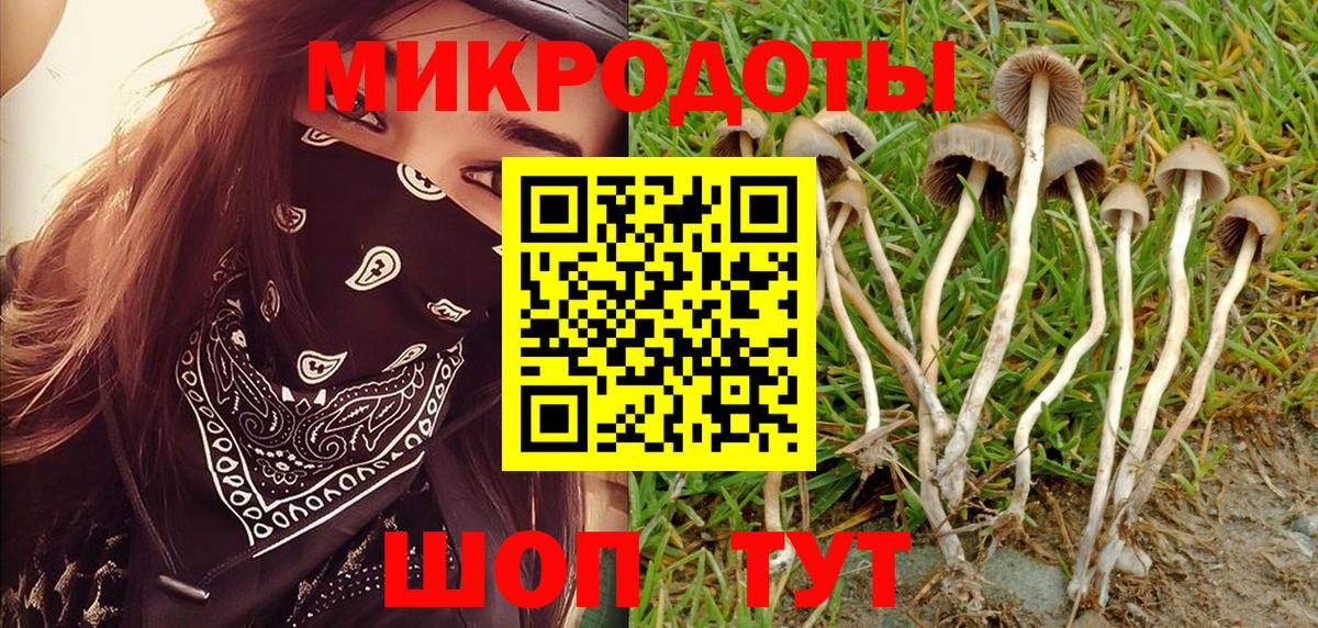 Лениногорск  Псилоцибиновые грибы Psilocybine cubensis  Псилоцибиновые грибы MAGIC MUSHROOMS  Вход с VPN 